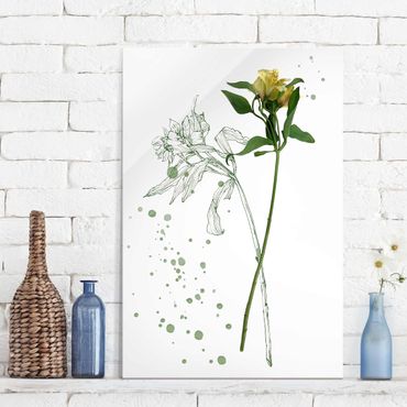 Glasschilderijen Botanical Watercolour - Lily