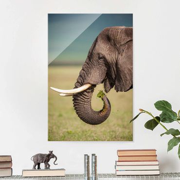 Glasschilderijen Feeding Elephants In Africa