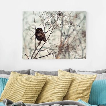 Glasschilderijen Owl In The Winter