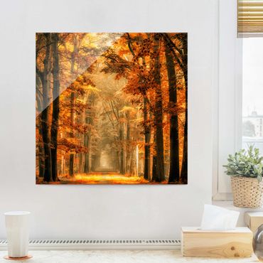 Glasschilderijen Enchanted Forest In Autumn