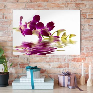Glasschilderijen Pink Orchid Waters