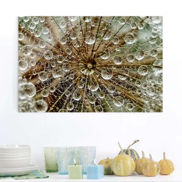 Glasschilderijen Dandelion In Autumn