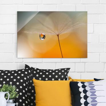 Glasschilderijen Dandelion In Orange
