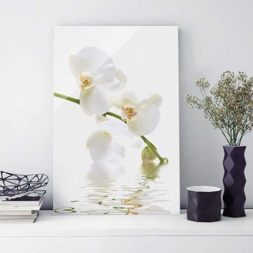Glasschilderijen White Orchid Waters