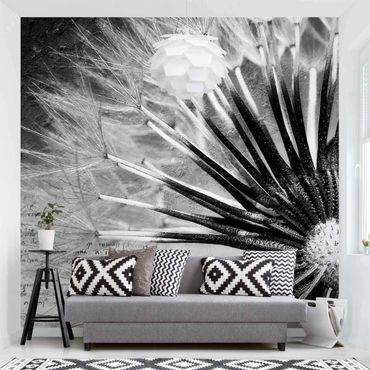 Fotobehang Dandelion Black & White