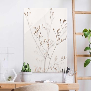 Glasschilderijen Delicate Buds On A Wildflower Stem