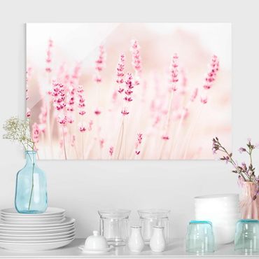Glasschilderijen Pale Pink Lavender