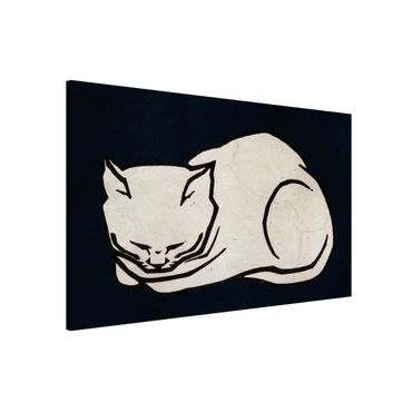 Magneetborden Sleeping Cat Illustration