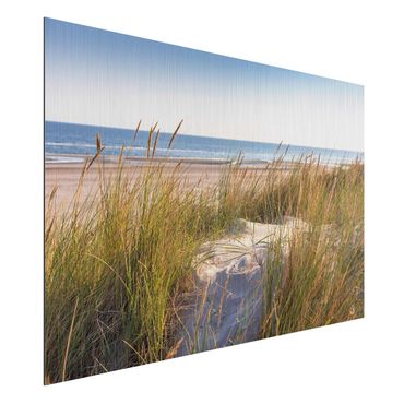 Aluminium Dibond schilderijen Beach Dune At The Sea
