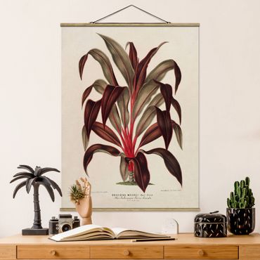 Stoffen schilderij met posterlijst Botany Vintage Illustration Of Dragon Tree