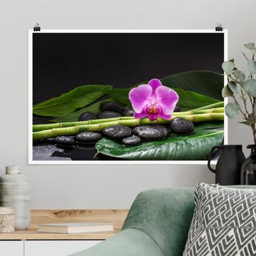 Posters Green Bamboo With Orchid Flower