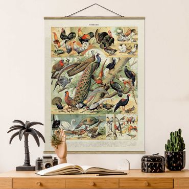 Stoffen schilderij met posterlijst Vintage Board European Birds