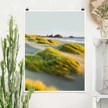 Posters Dunes And Grasses At The Sea