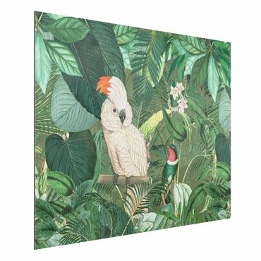Aluminium Dibond schilderijen Vintage Collage - Kakadu And Hummingbird