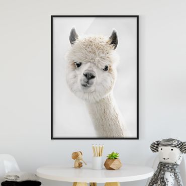 Ingelijste posters Alpaca Portrait
