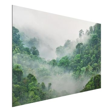 Aluminium Dibond schilderijen Jungle In The Fog