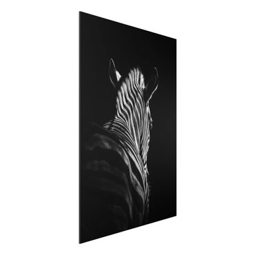 Aluminium Dibond schilderijen Dark Zebra Silhouette