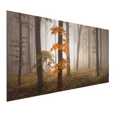 Aluminium Dibond schilderijen November Forest