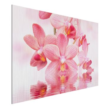 Aluminium Dibond schilderijen Light Pink Orchid On Water