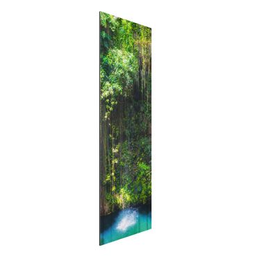 Aluminium Dibond schilderijen Hanging Roots Of Ik-Kil Cenote