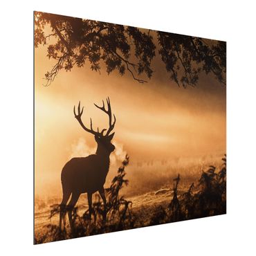 Aluminium Dibond schilderijen Deer In The Winter Forest