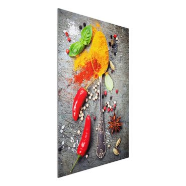 Aluminium Dibond schilderijen Spoon With Spices