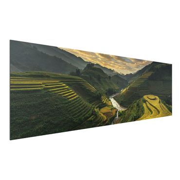 Aluminium Dibond schilderijen Rice Plantations In Vietnam