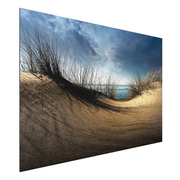 Aluminium Dibond schilderijen Sand Dune
