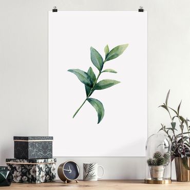 Posters Waterclolour Eucalyptus ll