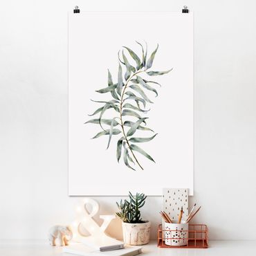 Posters Waterclolour Eucalyptus lV