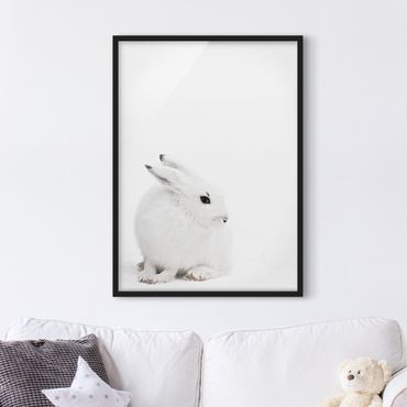 Ingelijste posters Arctic Hare