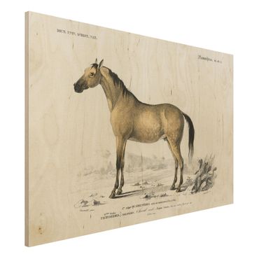 Houten schilderijen Vintage Board Horse