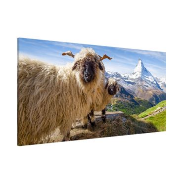 Magneetborden Blacknose Sheep Of Zermatt