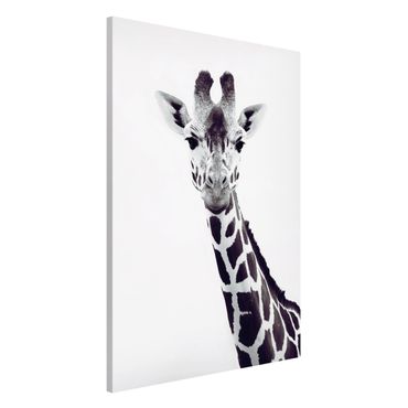 Magneetborden Giraffe Portrait In Black And White