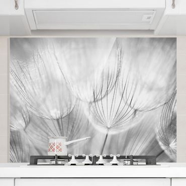 Spatscherm keuken Dandelions Macro Shot In Black And White