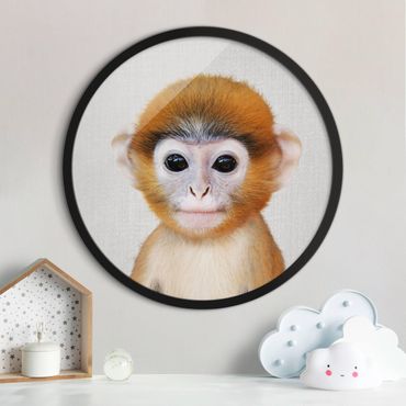 Rond schilderijen Baby Monkey Anton