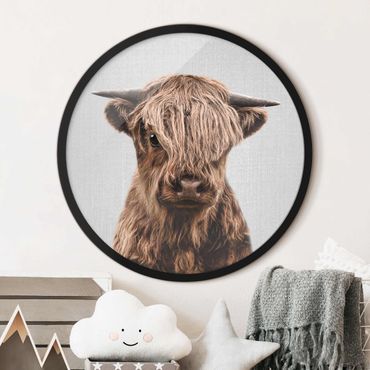 Rond schilderijen Baby Highland Cow Henri
