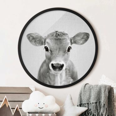 Rond schilderijen Baby Cow Kira Black And White