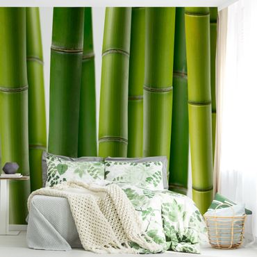 Fotobehang Bamboo Plants