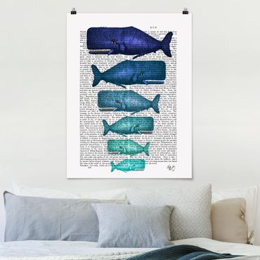 Posters Animal Reading - Whale Family