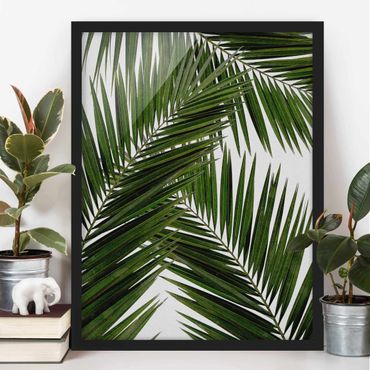 Ingelijste posters View Through Green Palm Leaves