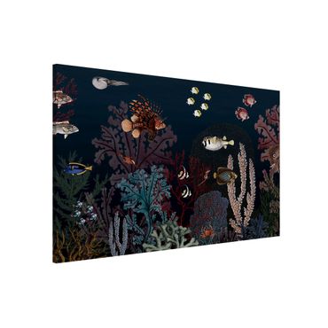 Magneetborden - Colourful coral reef at night