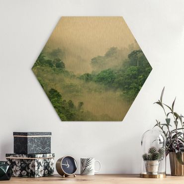 Hexagons Aluminium Dibond schilderijen Jungle In The Fog