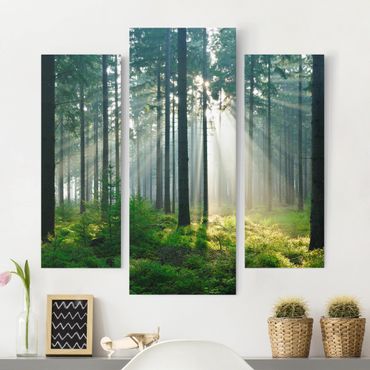 Canvas schilderijen - 3-delig Enlightened Forest