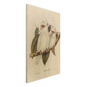 Houten schilderijen Vintage Illustration White Cockatoo