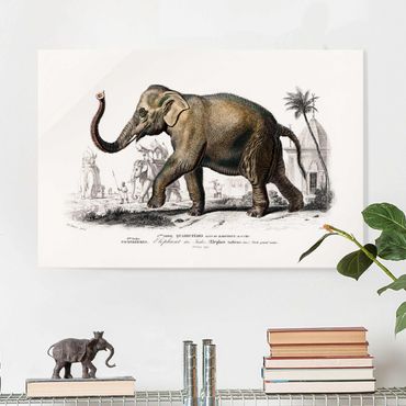 Glasschilderijen Vintage Board Elephant