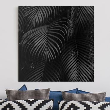 Canvas schilderijen Black Palm Fronds