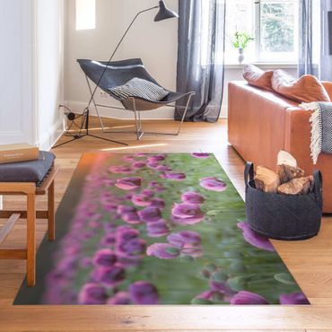 Vinyl tapijt Purple Poppy Flower Meadow In Spring