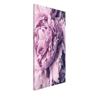 Magneetborden Purple Peony Blossoms