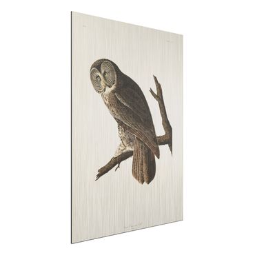 Aluminium Dibond schilderijen Vintage Board Great Owl